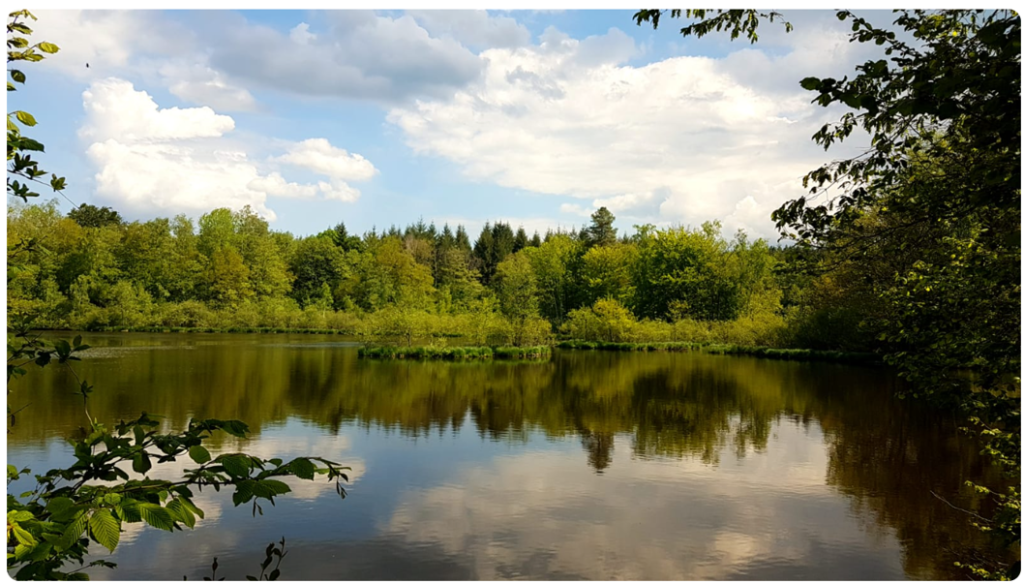 see gefüllt