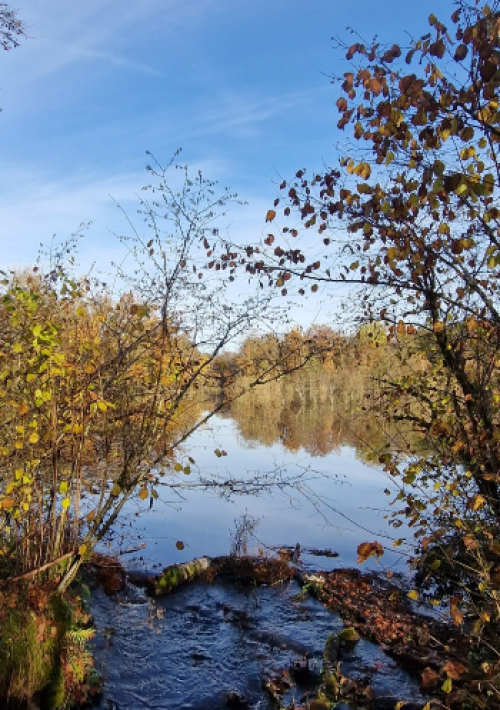 etang1